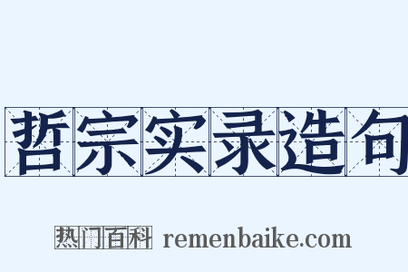 哲宗实录造句是什么意思的图片
